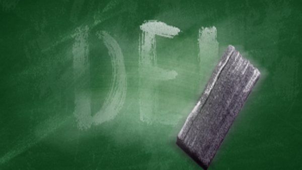 DEI homeschool supplements