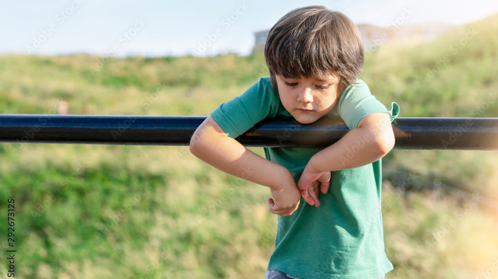 DEI homeschool supplement, DEI morals homeschool