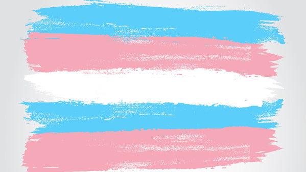 transgender basics, teach diversity at home, explaining transgender