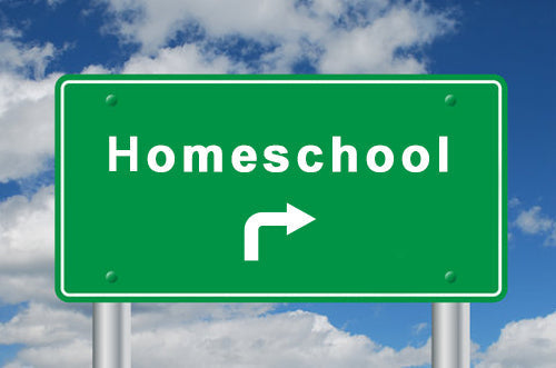 homeschool supplement DEI, homeschool trend, homeschool resources for parents
