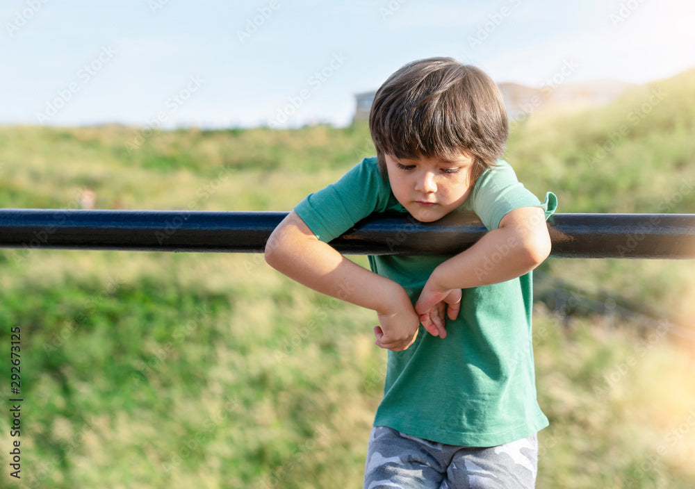 DEI homeschool supplement, DEI morals homeschool